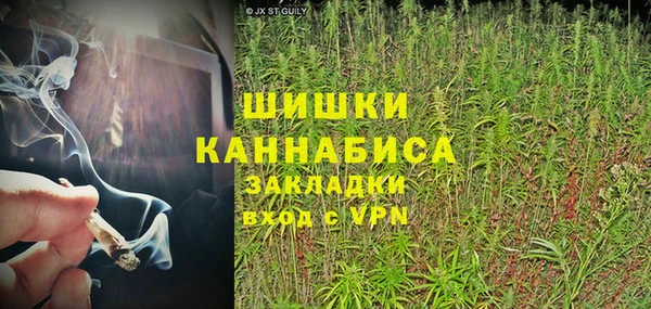 ПСИЛОЦИБИНОВЫЕ ГРИБЫ Алзамай