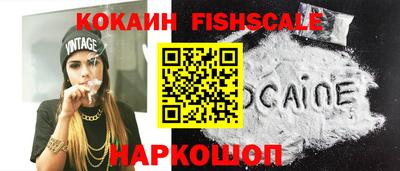 твердый Сланцы