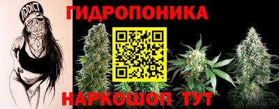 твердый Сланцы
