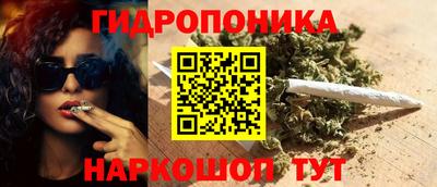 твердый Сланцы