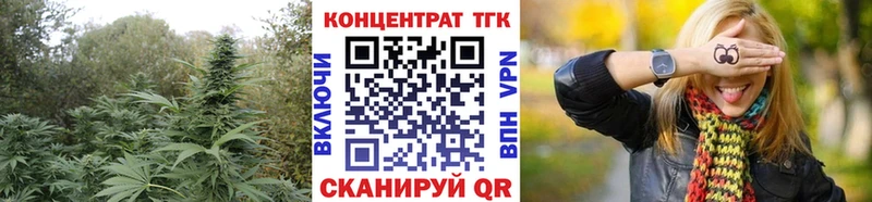 ТГК Wax  Сосновоборск 
