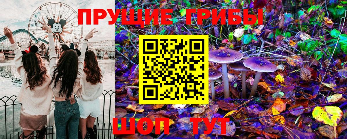 Псилоцибиновые грибы Psilocybine cubensis Сосновоборск
