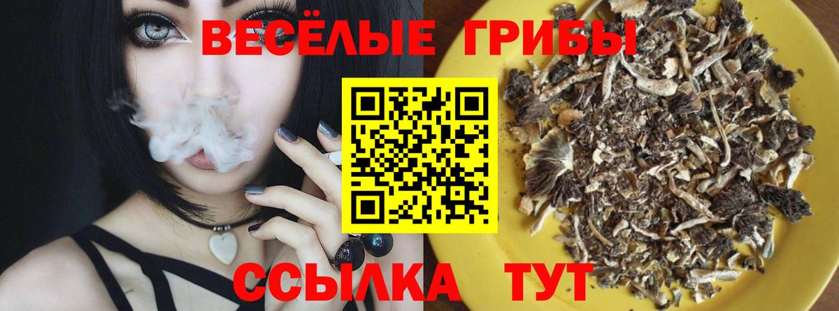Галлюциногенные грибы мицелий  Галлюциногенные грибы прущие грибы  Вход с VPN  Сосновоборск 