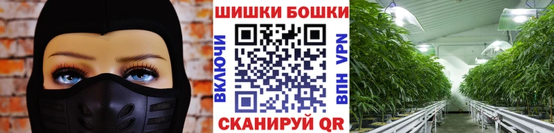 Шишки марихуана индика hydra ССЫЛКА Сосновоборск